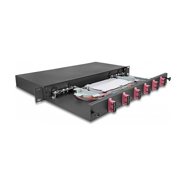 DELOCK 19" optička patch panel kutija 1U (6x SC Duplex OM4)-1
