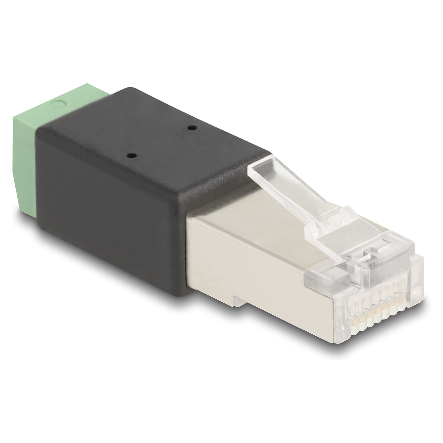 Delock Adapter RJ45 muški na 2-pinski terminalni blok-0