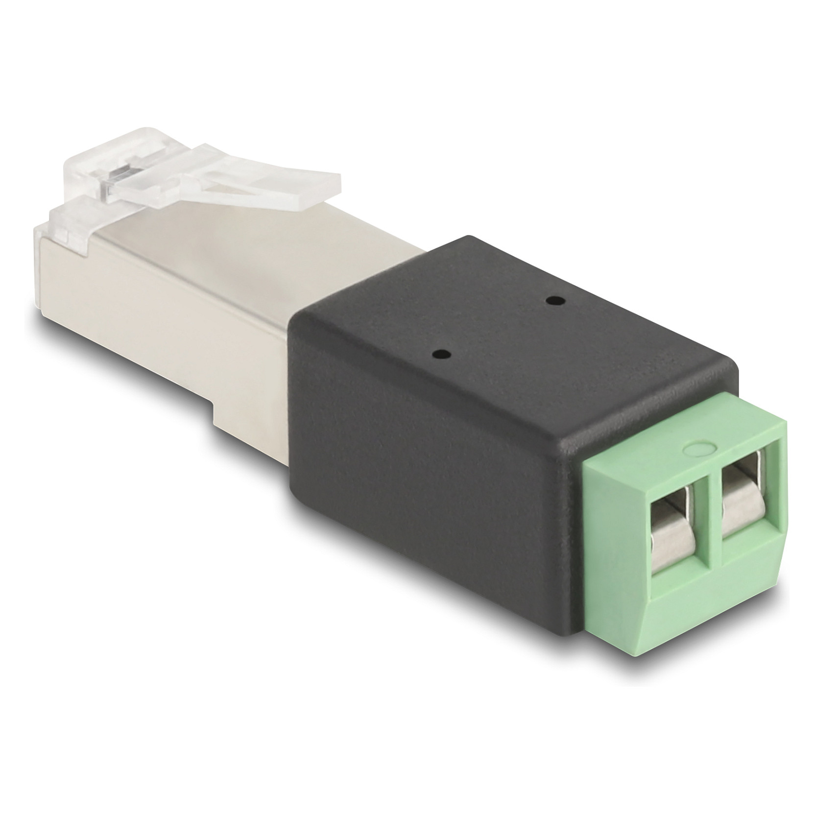 Delock Adapter RJ45 muški na 2-pinski terminalni blok-1