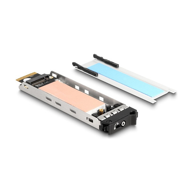 DELOCK ladica za M.2 NVMe SSD 47037