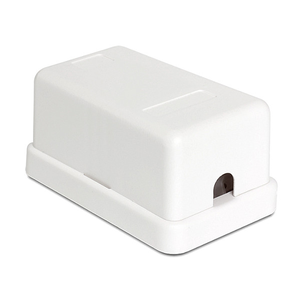 Delock Keystone Kućište za 1 Modul-1