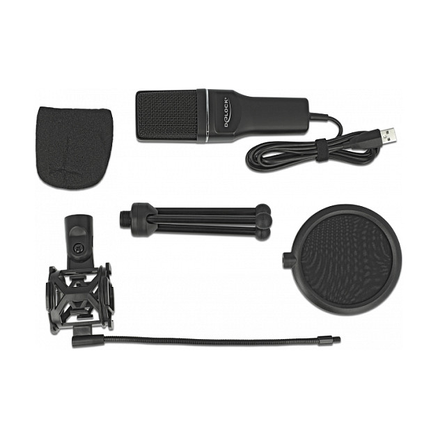 DELOCK USB Kondenzatorski Mikrofon Set 66331-2