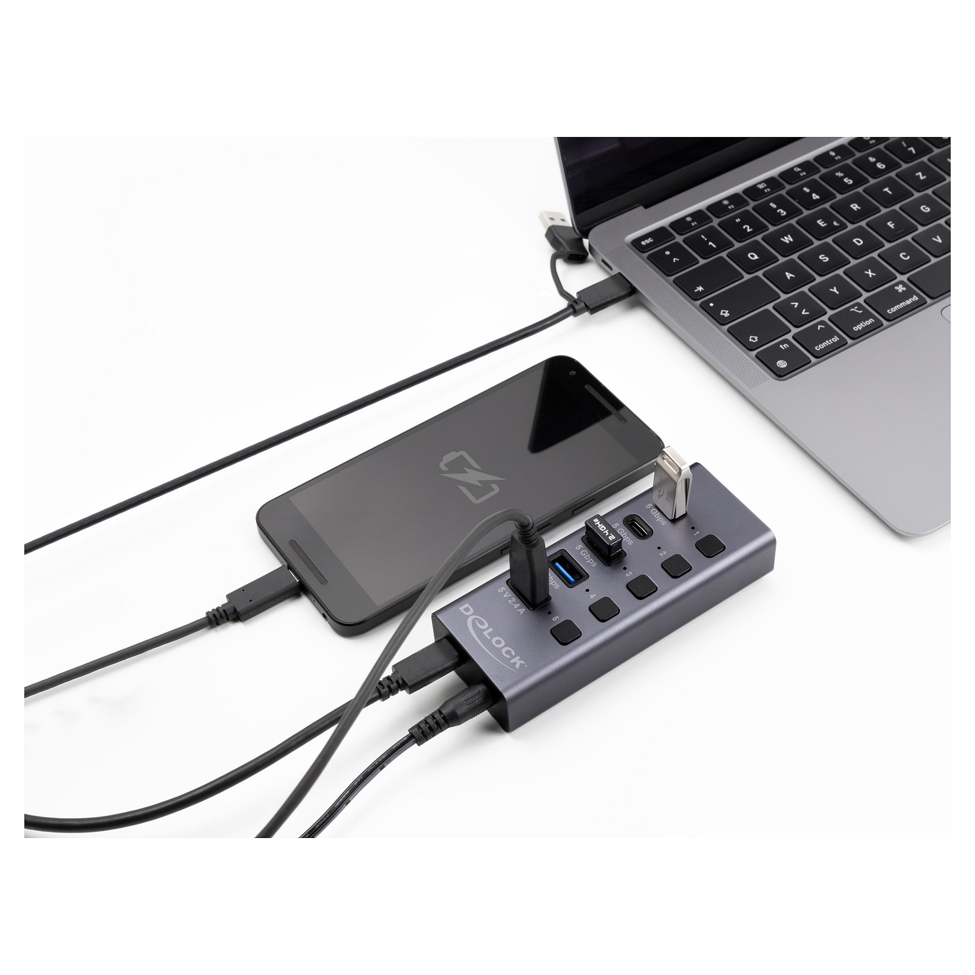 USB Hub DELOCK 64248 s prekidačima (5 Gbps, 2x USB-A, 2x USB-C, Fast Charge)-2