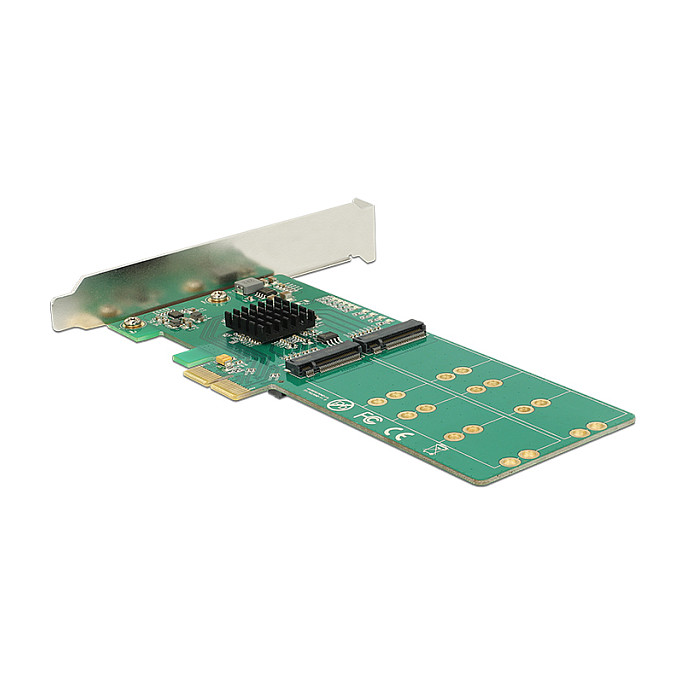 DELOCK PCI Express x2 kartica za 4 x M.2 Key B utora, Low Profile
