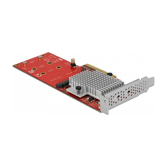 DELOCK 90305 PCI Express x8 kartica za 2x NVMe M.2 SSD, Low Profile-0