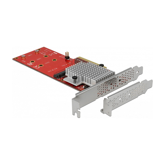 DELOCK 90305 PCI Express x8 kartica za 2x NVMe M.2 SSD, Low Profile-1