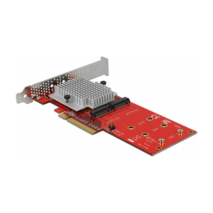 DELOCK 90305 PCI Express x8 kartica za 2x NVMe M.2 SSD, Low Profile-2