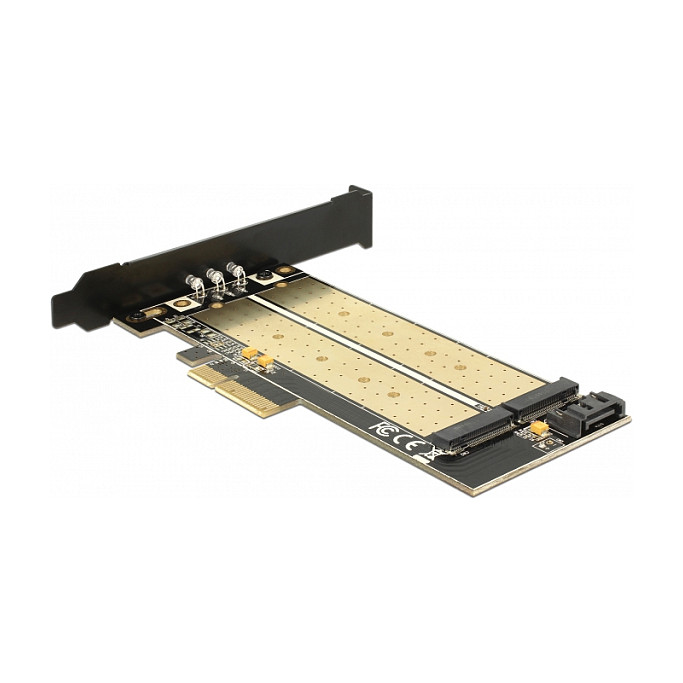 Adapter DELOCK PCI Express x4 na M.2 NVMe + M.2 SATA SSD, Low Profile-0