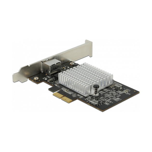 Mrežna kartica DELOCK PCIe x2 10 Gigabit LAN 89528-2