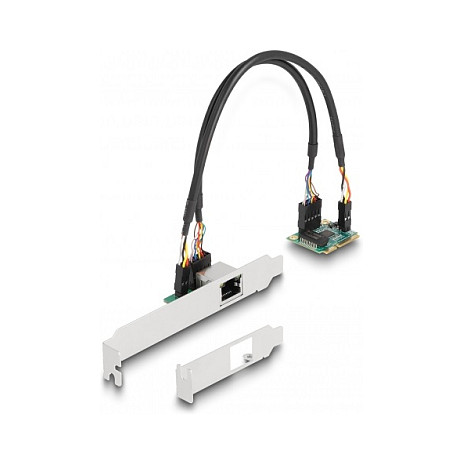 DELOCK Mini PCIe mrežna kartica 2.5 Gigabit LAN (half size)-0