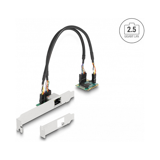 DELOCK Mini PCIe mrežna kartica 2.5 Gigabit LAN (half size)-1