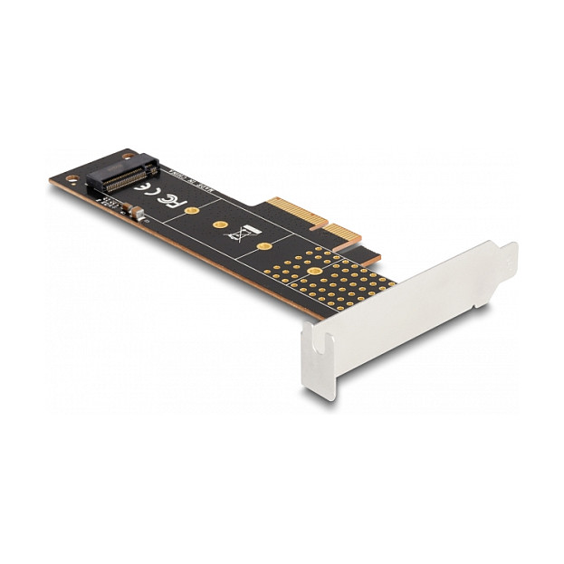 Adapter DELOCK PCI Express x4 na M.2 NVMe SSD (Low Profile)-1