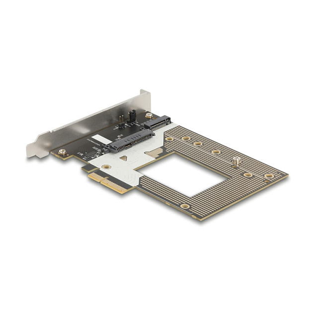DELOCK PCIe 4.0 x4 adapter kartica za M.2 NVMe / U.2 SSD, 90854-1