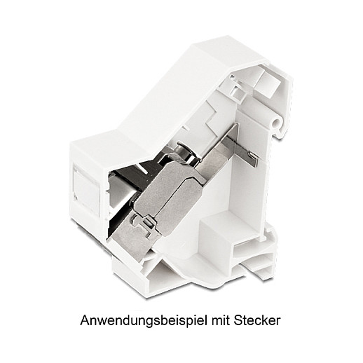Delock Keystone nosač za DIN šinu s uzemljenjem-1