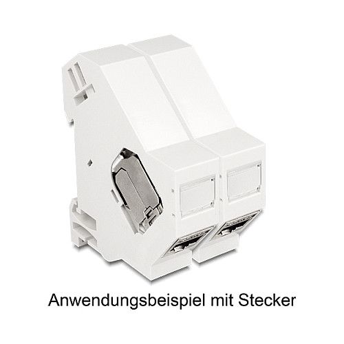 Delock Keystone nosač za DIN šinu s uzemljenjem-2