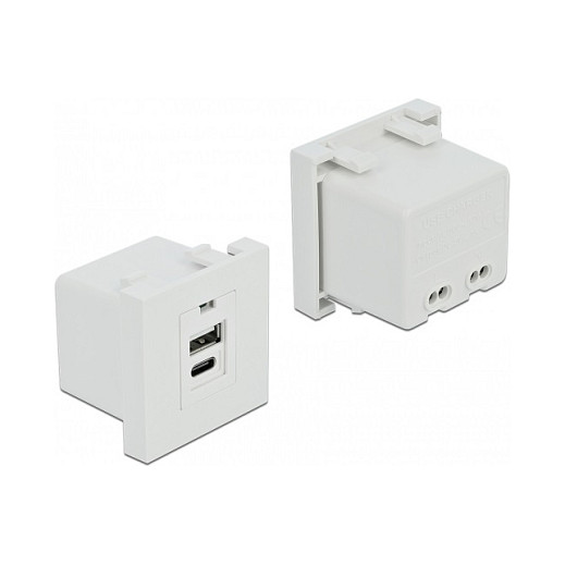 USB modul za punjenje DELOCK Easy 45 (1x USB-A, 1x USB-C)