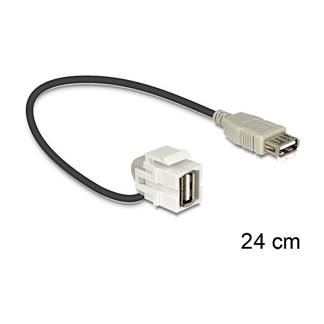 Delock Keystone Modul USB 2.0 A ženski (110°) na USB 2.0 A ženski s kabelom, bijeli
