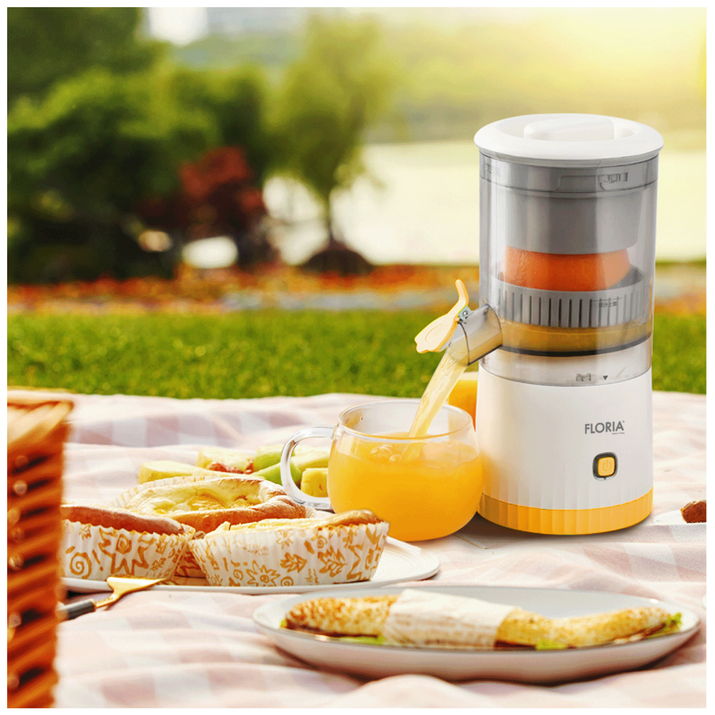 Bežični sokovnik FLORIA ZLN4079 (600 ml, 800 mAh)-4