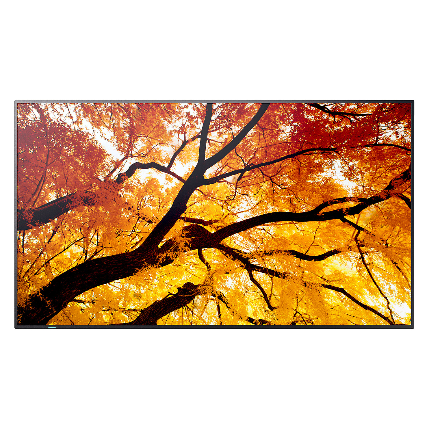 Profesionalni zaslon SHARP/NEC MultiSync M862 86" 4K UHD