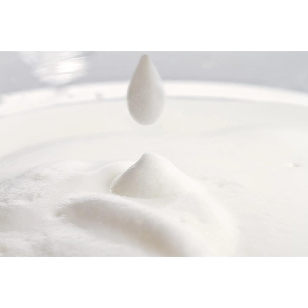 Pjenilica za mlijeko PHILIPS Milk Twister CA6500/63-6
