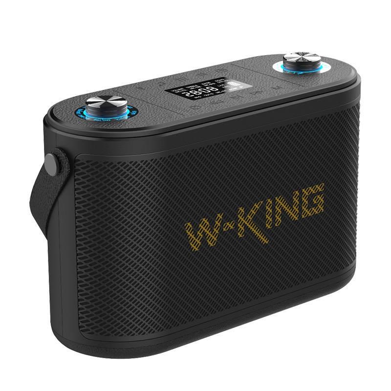 Bluetooth speaker W-KING H10 120W-2