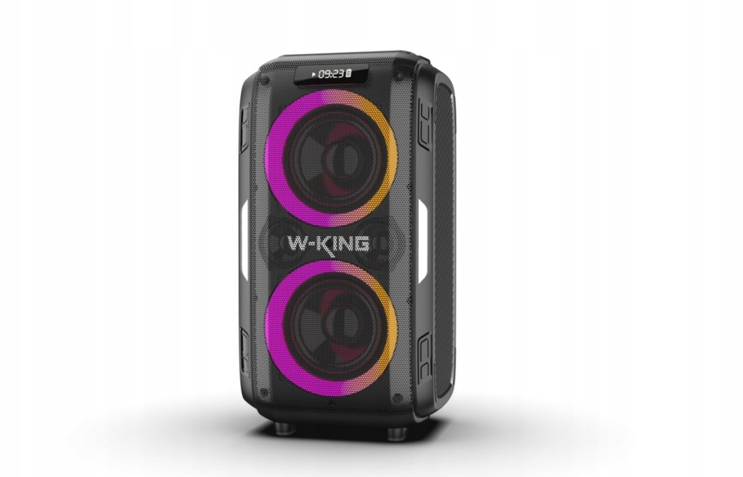 Prijenosni zvučnik W-KING T9 Pro (120W, Bluetooth, IPX6) crna boja-0