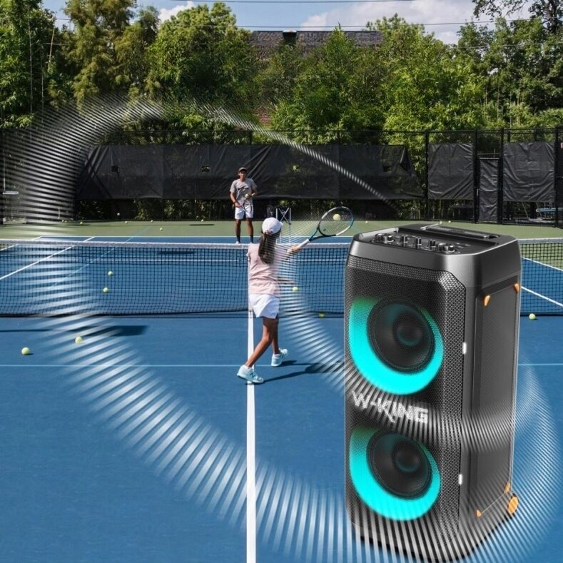 Prijenosni Bluetooth zvučnik W-KING T12 (150W, IPX6) crna boja-4