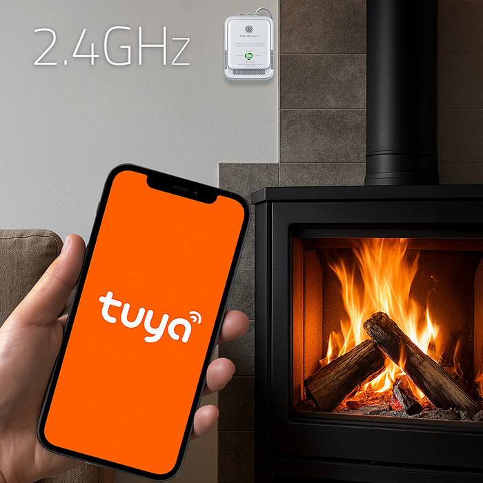 Qoltec 52651 Natural Gas Leak Sensor | CH4 detector | NG | Tuya | Wi-Fi | 85dB alarm | LED-2