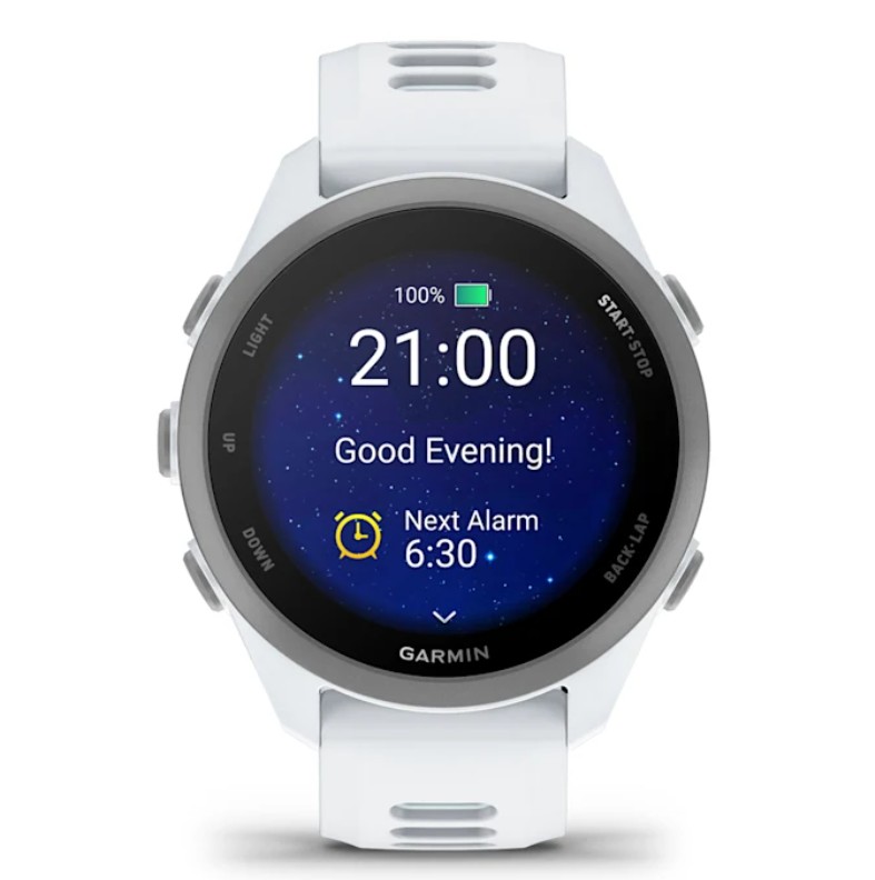Pametni sat GARMIN Forerunner 170 Whitestone Cloud Blue (bijela) 43mm, 010-03920-01-3