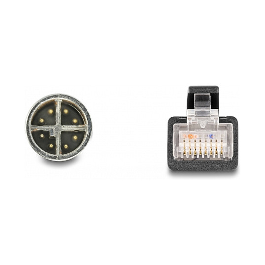 Delock M12 Adapterkabel X-kodiert 8 Pin Stecker zu RJ45 Stecker 50 cm-2
