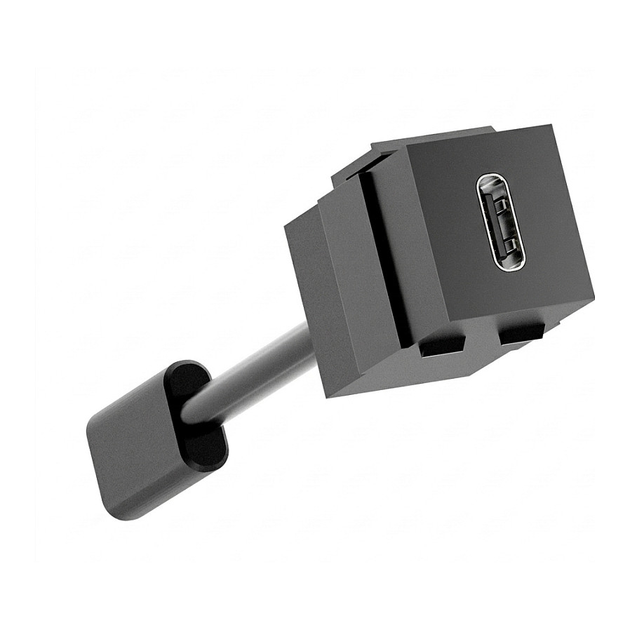 BACHMANN Keystone USB 3.2 Kupplung C/C PD 100W