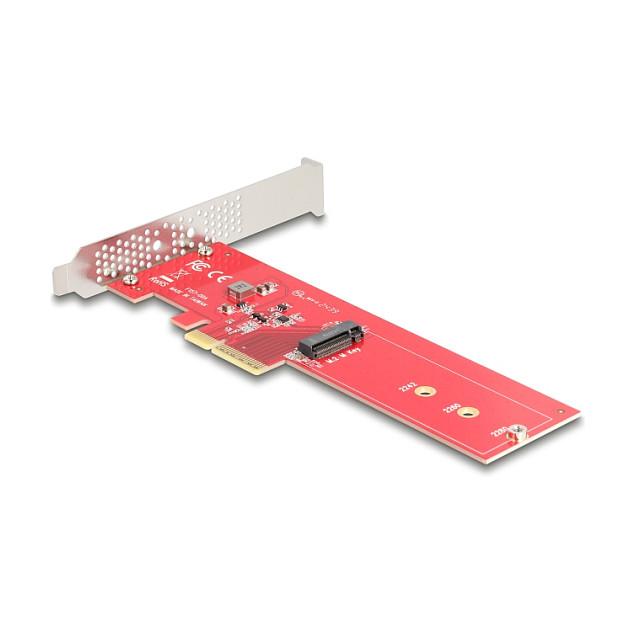 DELOCK PCIe 5.0 x4 kartica za M.2 NVMe SSD, Low Profile-1