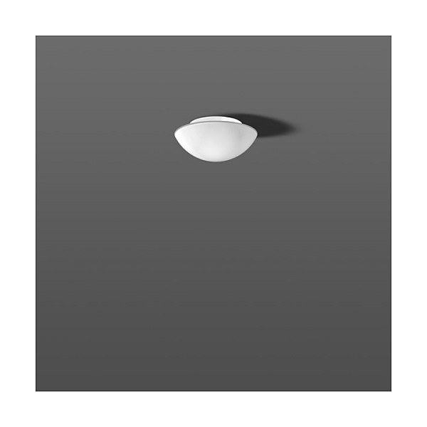 RZB 211005.002 Opalglasleuchte 60W IP43 seidenmatt D=250mm-0