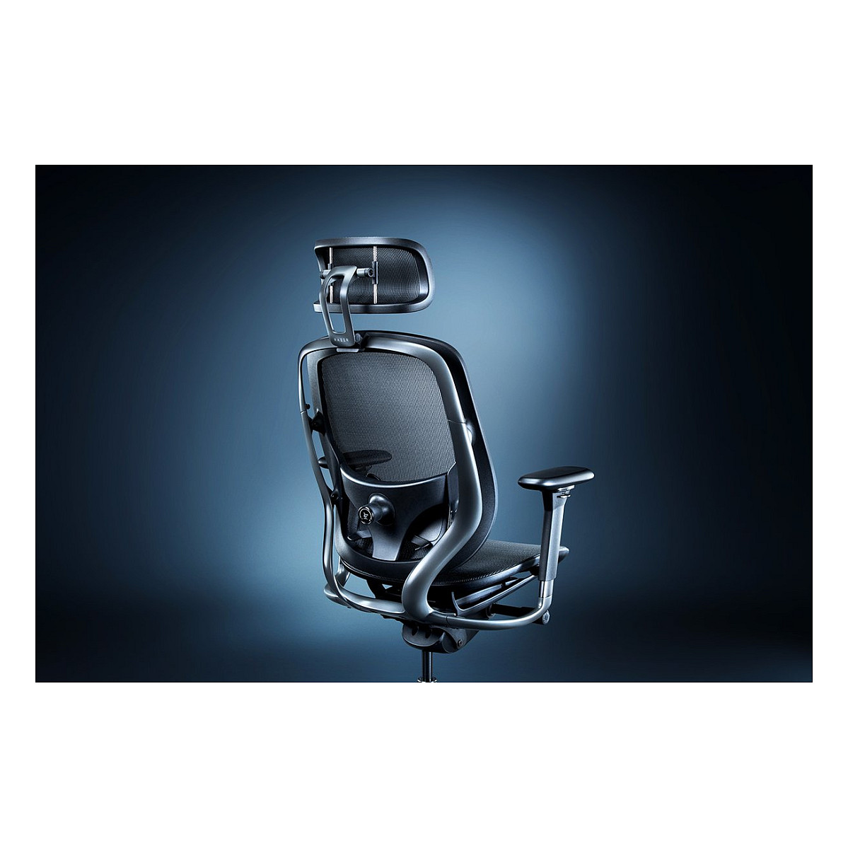 Razer Fujin Pro (schwarz, inkl. 3-D Kopfsttze)-2