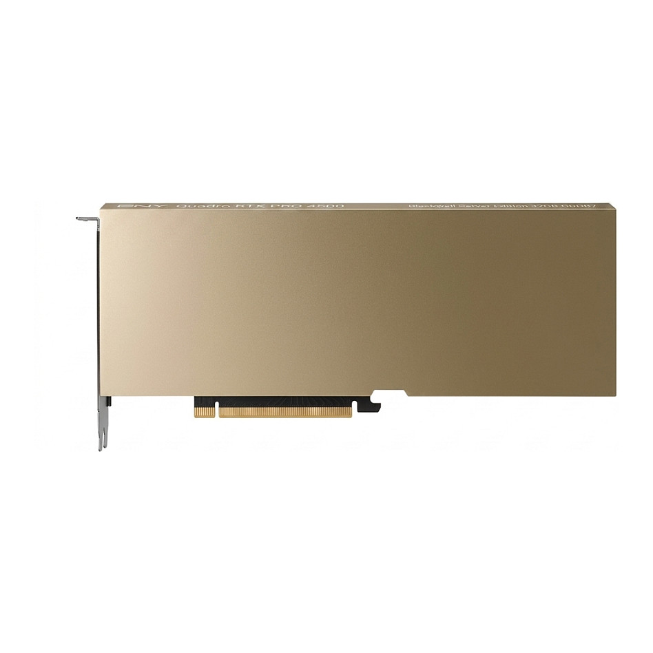 Grafička kartica PNY NVIDIA RTX PRO 4500 Blackwell Server Edition 32GB GDDR7-0