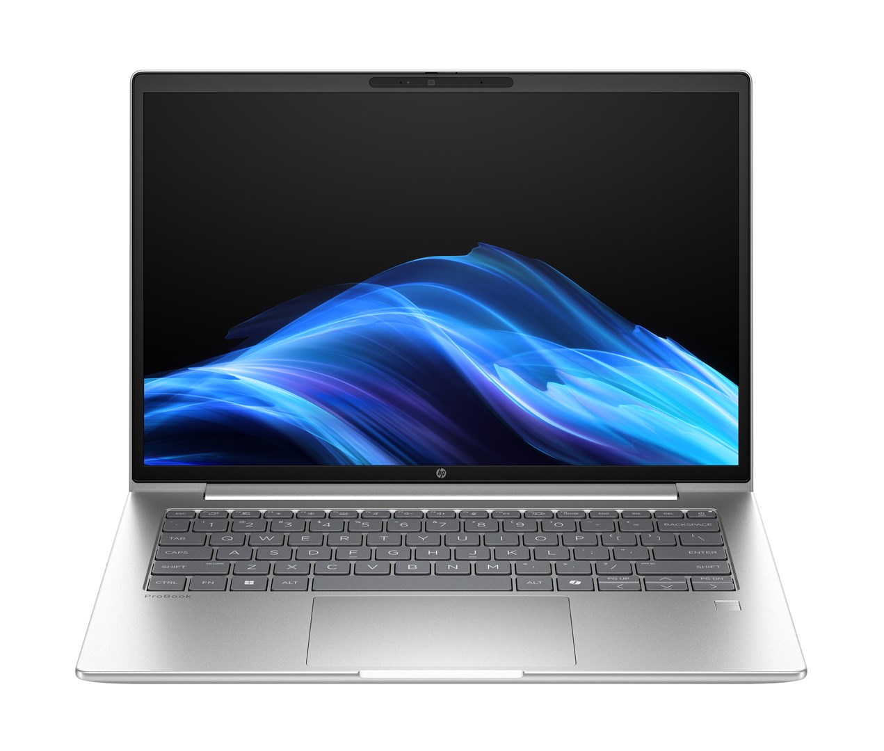 Notebook HP ProBook 4 G1a 14 AI 14"WUXGA/Ryzen 5 220/24GB/SSD512GB/R740M/11PR Pike Silver 3Y