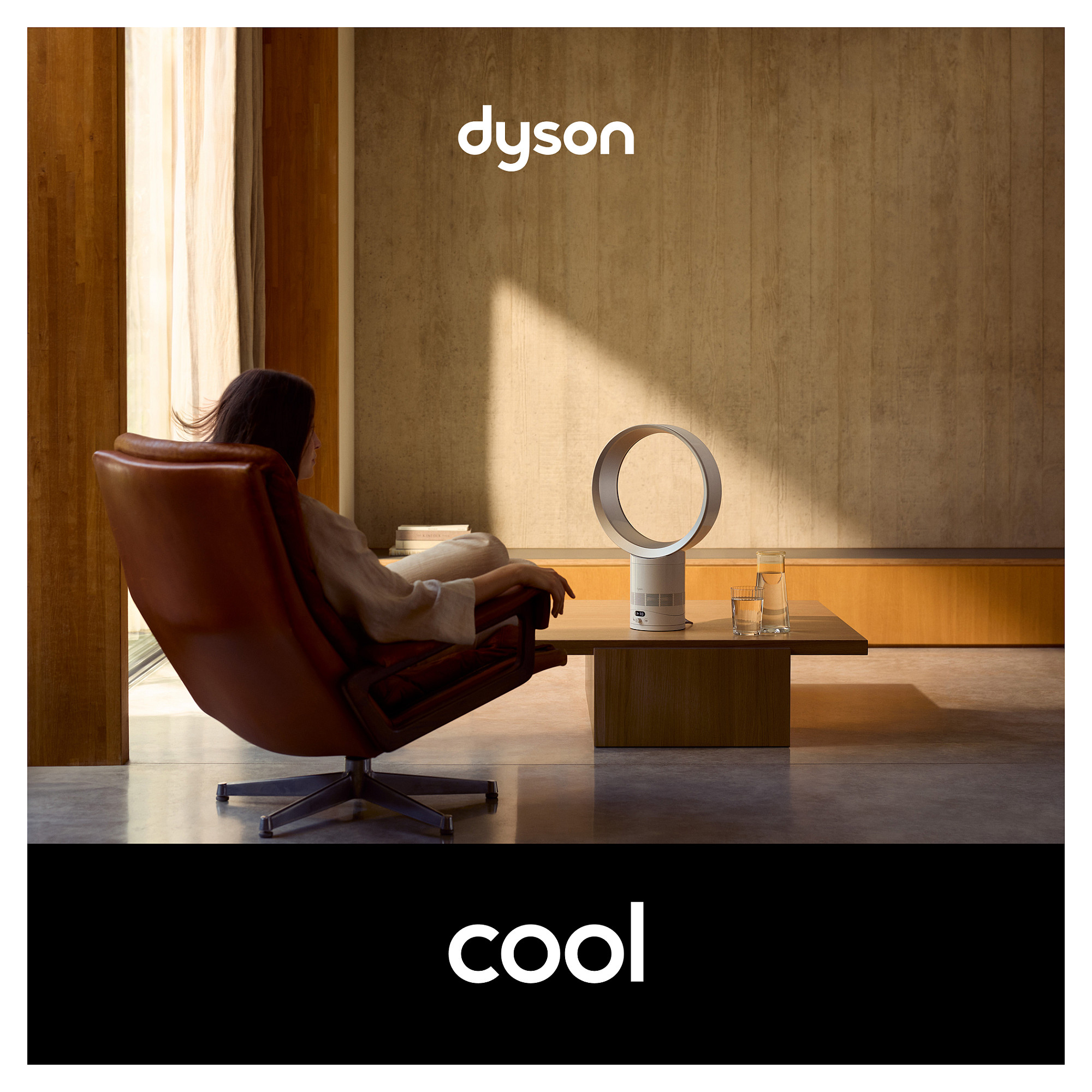 Stolni ventilator DYSON Cool AM06 (bijela/srebrna boja)-11