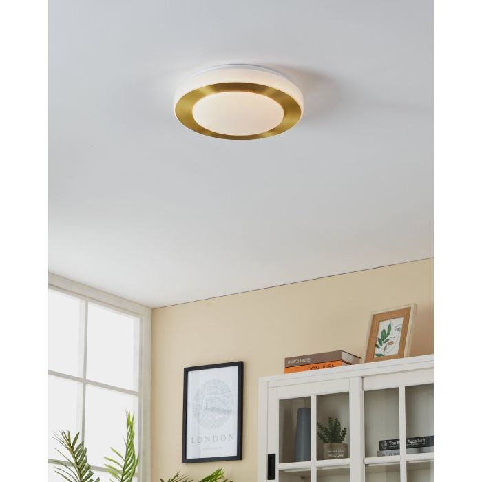 Pametna LED stropna svjetiljka EGLO CARPI-C 97301 (30 cm)-1