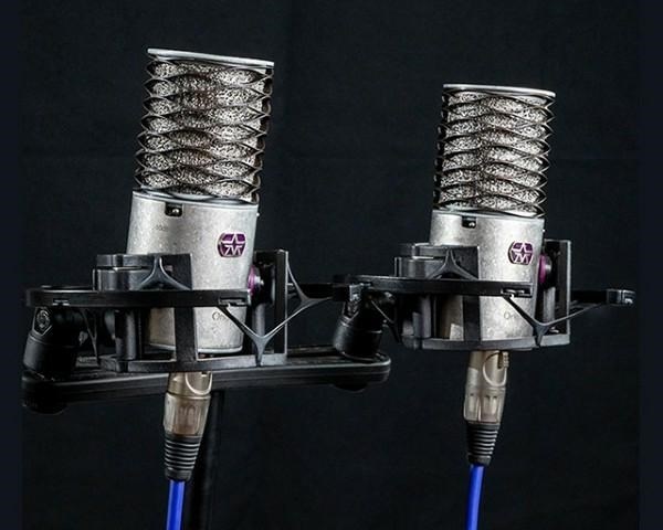 Kondenzatorski mikrofon ASTON MICROPHONES Origin (Stereo Pair)