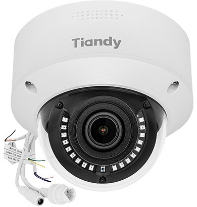 Vandal-Proof IP Camera TC-C32MS