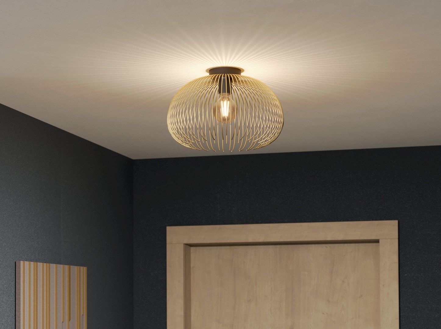 EGLO 900165 ceiling lighting E27 40 W-1