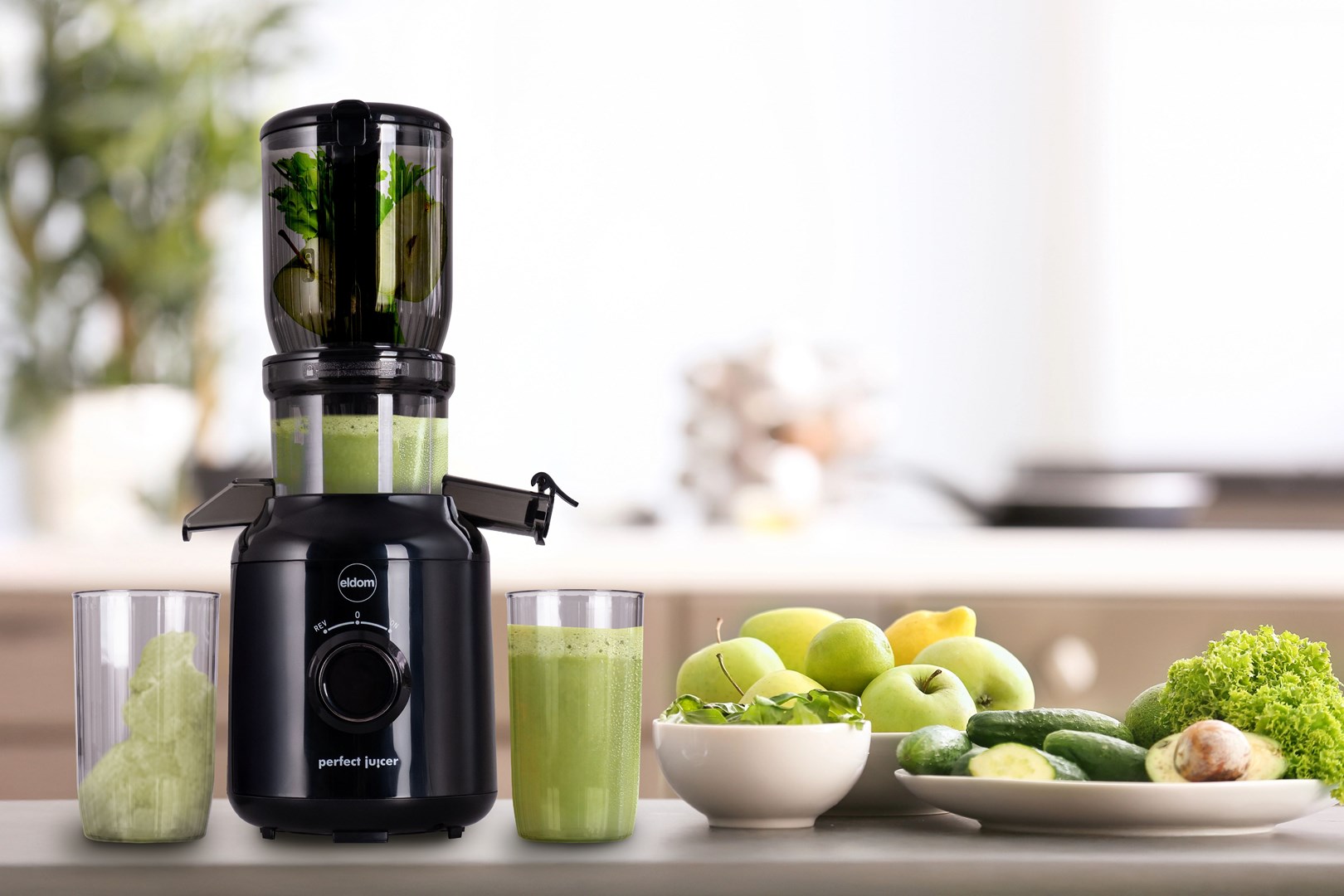 ELDOM PJ350 SLOW JUICER 250W-5