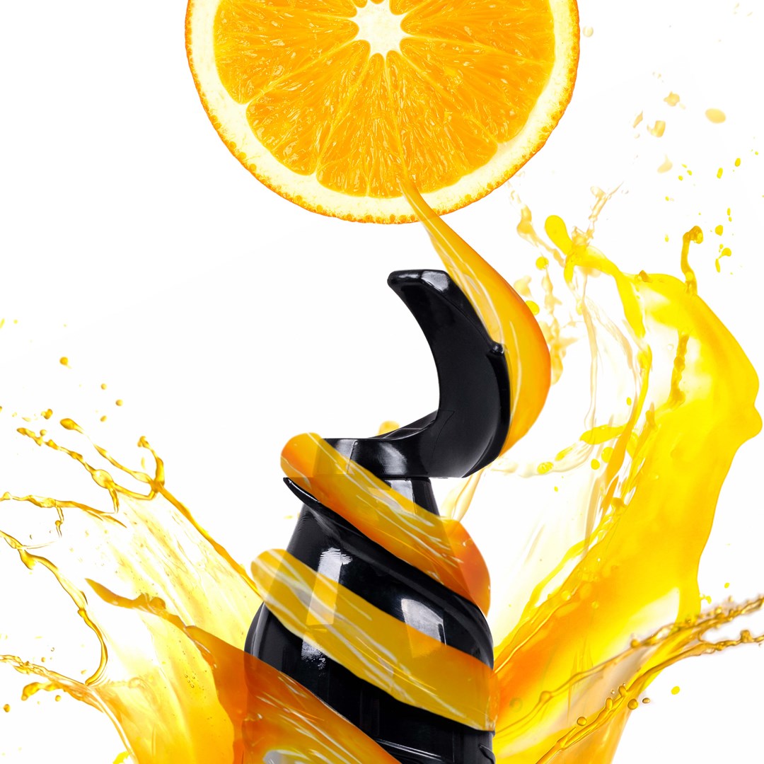 ELDOM PJ350 SLOW JUICER 250W-7