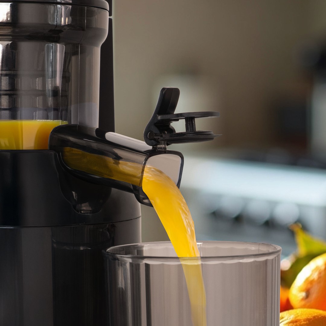 ELDOM PJ350 SLOW JUICER 250W-2