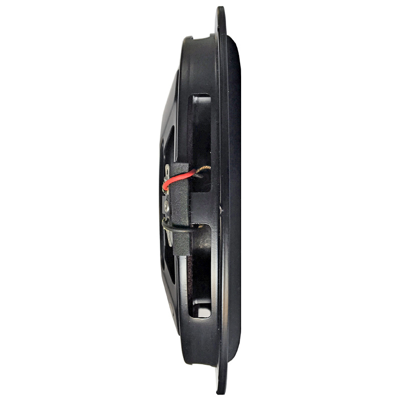 Rezervni woofer AMPIRE za ACTIVE10-SL (25 cm, 2 Ohma)-3
