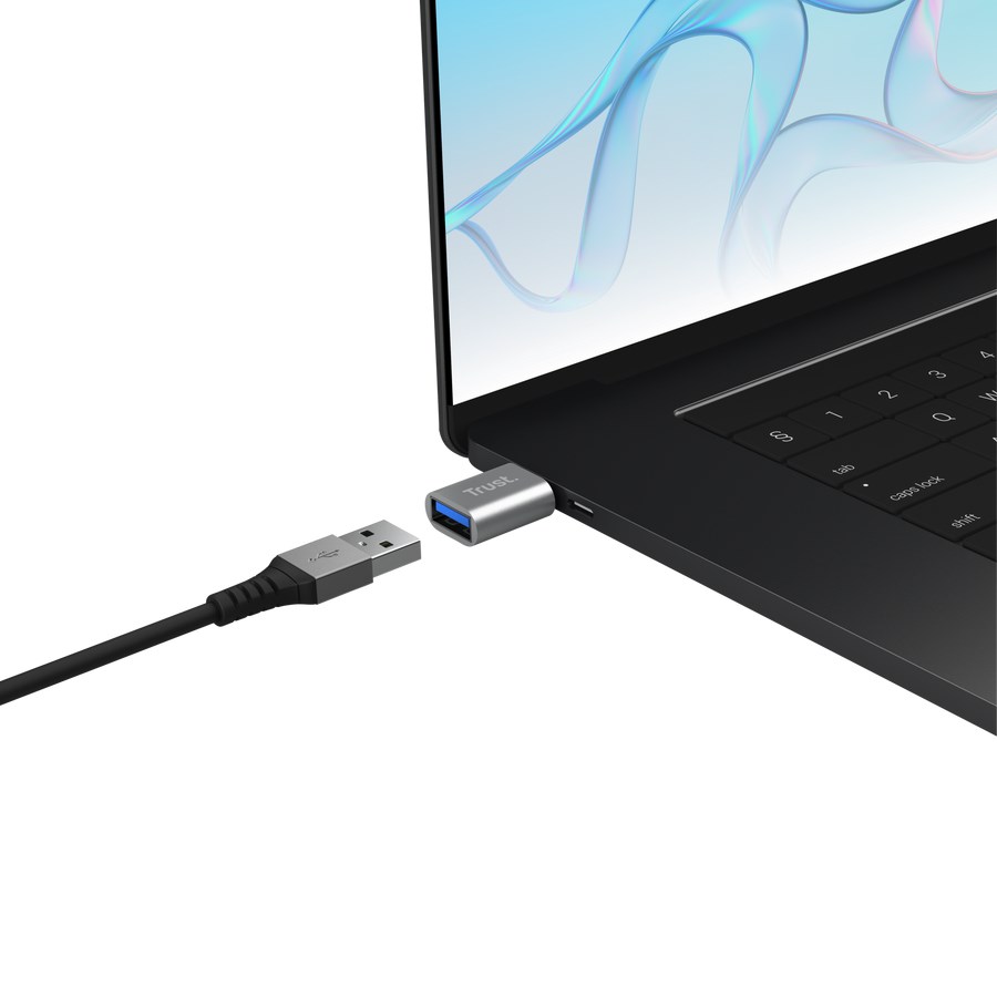 Adapter TRUST Dalyx USB-C na HDMI (4K@60Hz), srebrna boja-1