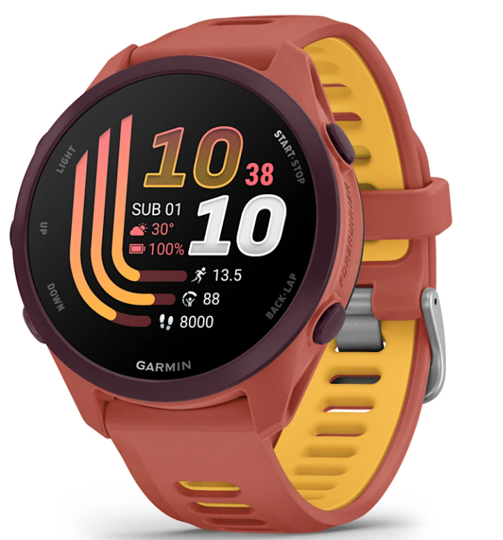 Pametni sat GARMIN Forerunner 170 Music (crveno-ružičasta boja), 010-03920-13