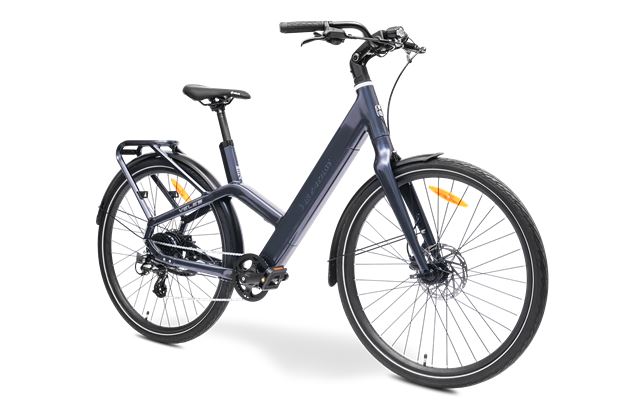 MS ENERGY eBike Veles Black