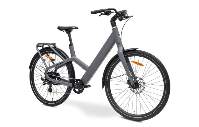 MS ENERGY eBike Veles Grey-0