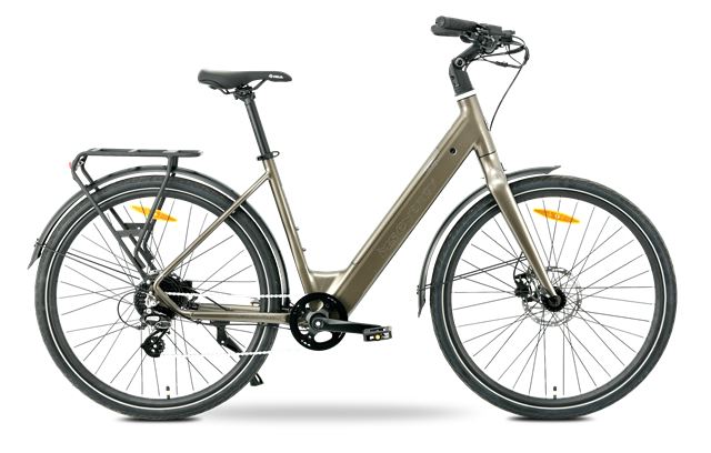 MS ENERGY eBike Zorya bronze-0